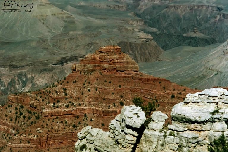 Grand Canyon  6.jpg - And a red one.